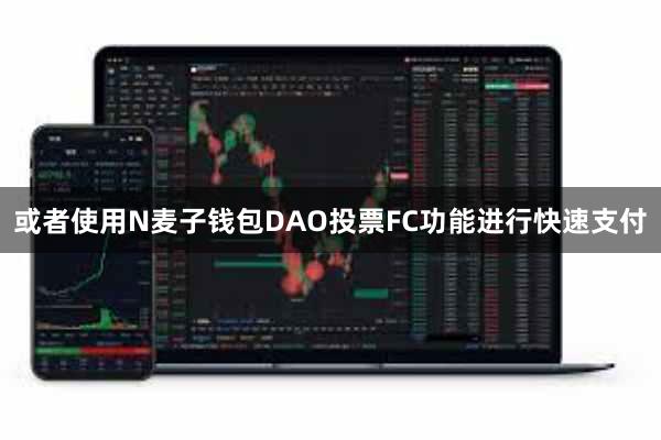 或者使用N麦子钱包DAO投票FC功能进行快速支付