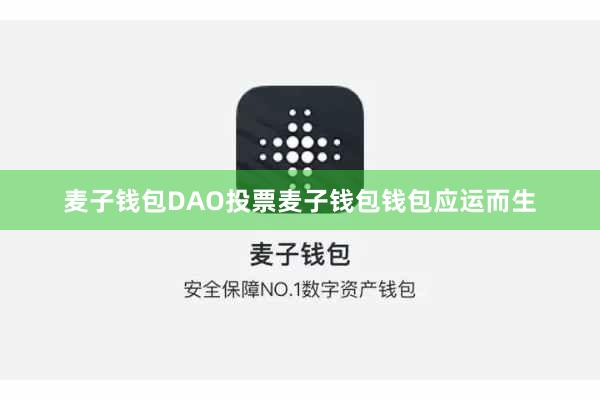 麦子钱包DAO投票麦子钱包钱包应运而生