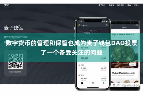 数字货币的管理和保管也成为麦子钱包DAO投票了一个备受关注的问题