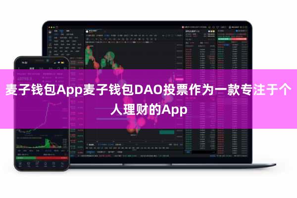 麦子钱包App麦子钱包DAO投票作为一款专注于个人理财的App