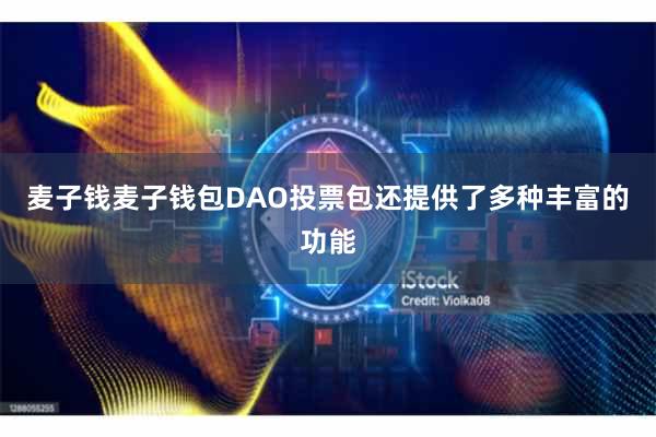 麦子钱麦子钱包DAO投票包还提供了多种丰富的功能