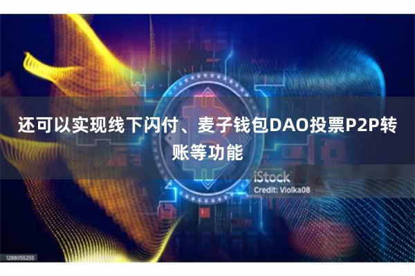 还可以实现线下闪付、麦子钱包DAO投票P2P转账等功能