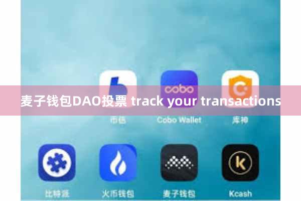 麦子钱包DAO投票 track your transactions