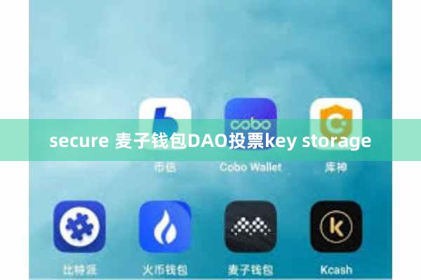 secure 麦子钱包DAO投票key storage