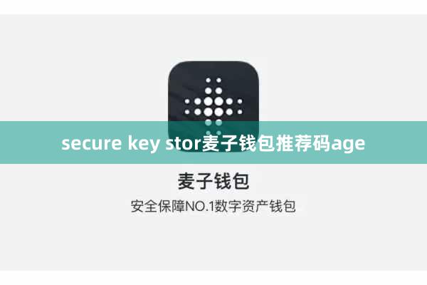 secure key stor麦子钱包推荐码age