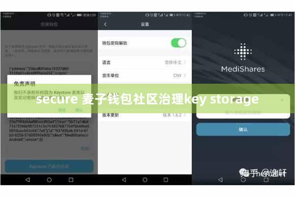secure 麦子钱包社区治理key storage