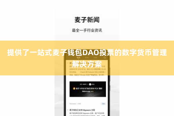 提供了一站式麦子钱包DAO投票的数字货币管理解决方案