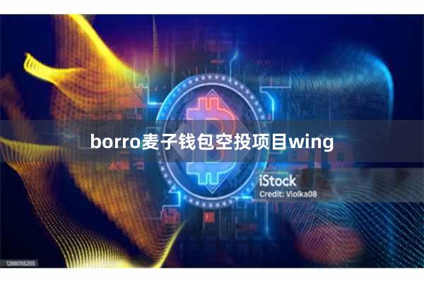 borro麦子钱包空投项目wing