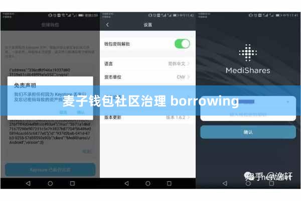麦子钱包社区治理 borrowing