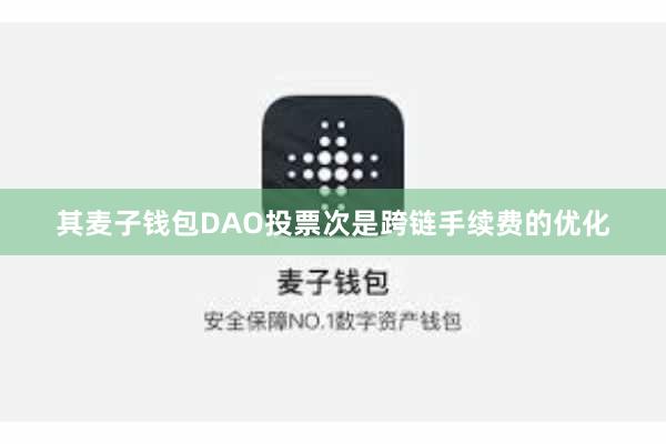 其麦子钱包DAO投票次是跨链手续费的优化