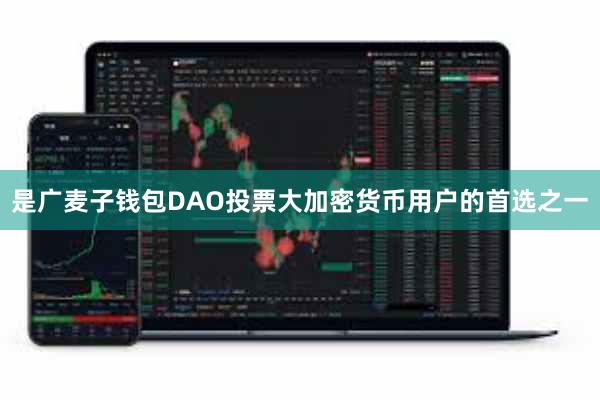 是广麦子钱包DAO投票大加密货币用户的首选之一