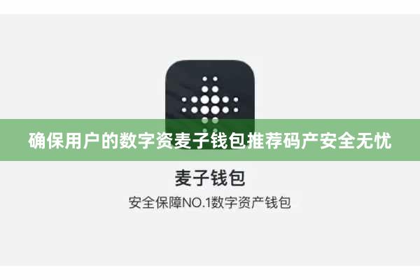 确保用户的数字资麦子钱包推荐码产安全无忧