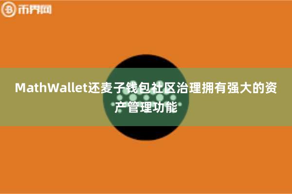 MathWallet还麦子钱包社区治理拥有强大的资产管理功能