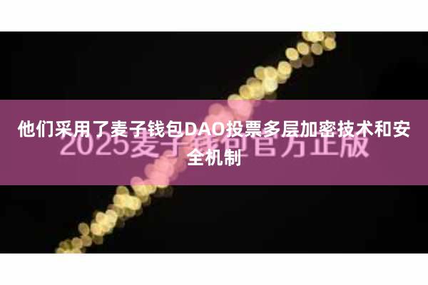 他们采用了麦子钱包DAO投票多层加密技术和安全机制