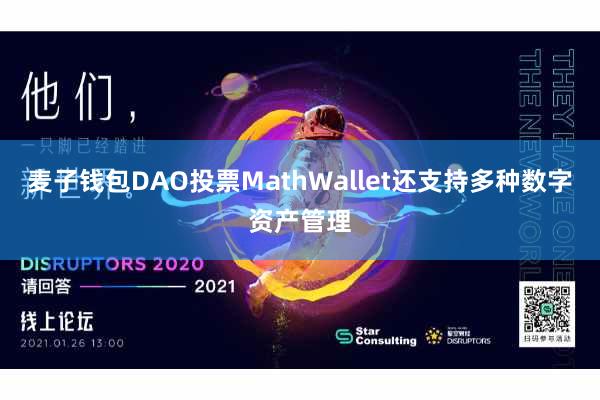 麦子钱包DAO投票MathWallet还支持多种数字资产管理